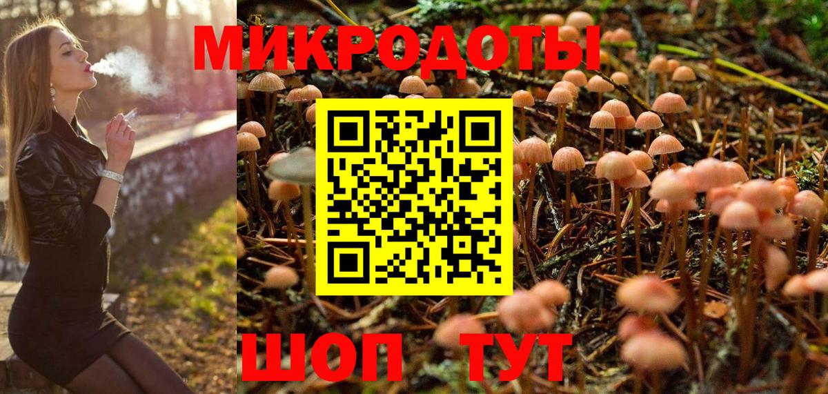 Псилоцибиновые грибы мухоморы Острогожск